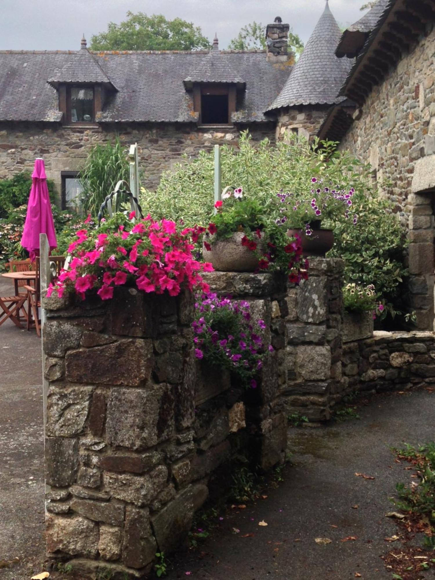 Le Petit Chateau, Matisse Noyal-Pontivy Екстер'єр фото
