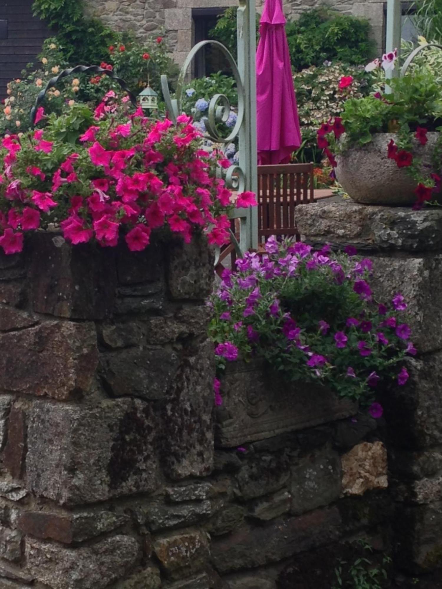 Le Petit Chateau, Matisse Noyal-Pontivy Екстер'єр фото
